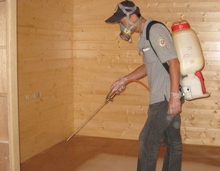房屋装修白蚁防治具体有哪些措施？