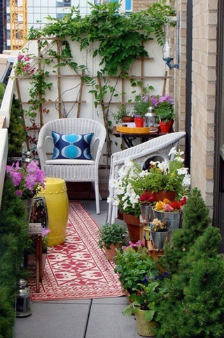 如何打造适合自家的阳台花园