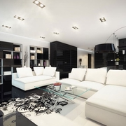 黑白现代奢华住宅欣赏客厅效果