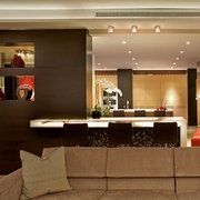现代主义豪华公寓设计欣赏客厅陈设