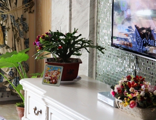 简欧客厅花艺装饰图 舒适自然家居