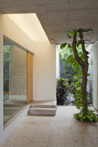 现代简约风住宅设计室内绿植