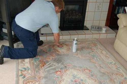 地毯保养术9大招 让家里持久如新