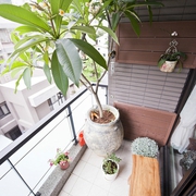 简约温馨三居室案例欣赏阳台