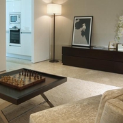 顶层高级现代公寓欣赏客厅陈设设计