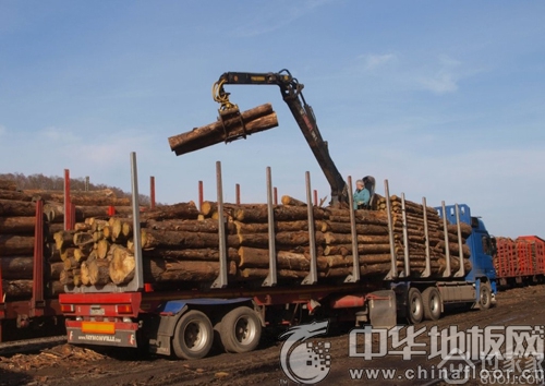 海陆运费增加致木材成本上涨 木材提价板上钉