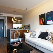 50平米现代一居室欣赏客厅陈设
