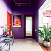紫色混搭两居室欣赏过道设计