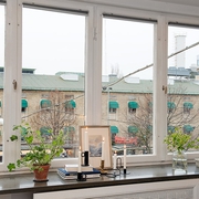 86平复古北欧公寓欣赏窗台