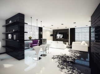 黑白现代奢华住宅欣赏客厅陈设