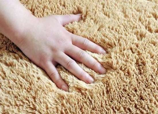 家居保养知识 养护地毯有技巧