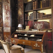 欧式时尚别墅设计欣赏书房
