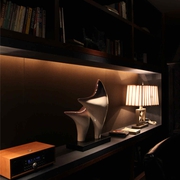 中式风格书柜灯具摆放效果图