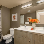 现代风格住宅设计图浴室柜