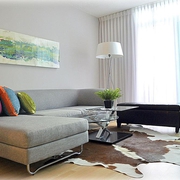 时尚现代一居室设计图片客厅地毯