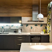 65平简约装饰性住宅欣赏厨房效果