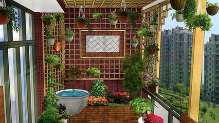 如何用绿植来美化阳台?