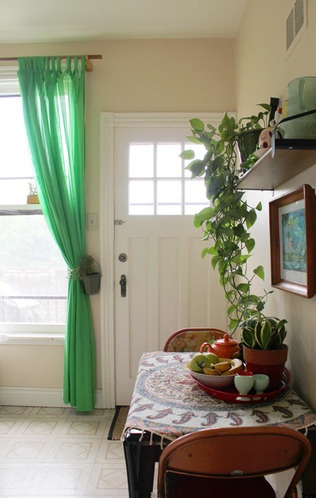 清新混搭 客厅绿植装饰图